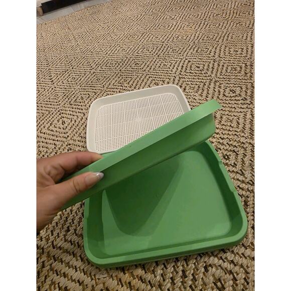 4 Pcs Seed Sprouter Tray with Drain Holes for Microgreens Growing Kit - Picture 7 of 16